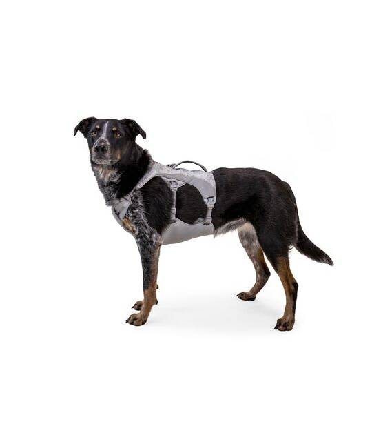 Swamp Cooler™ Dog Cooling Harness